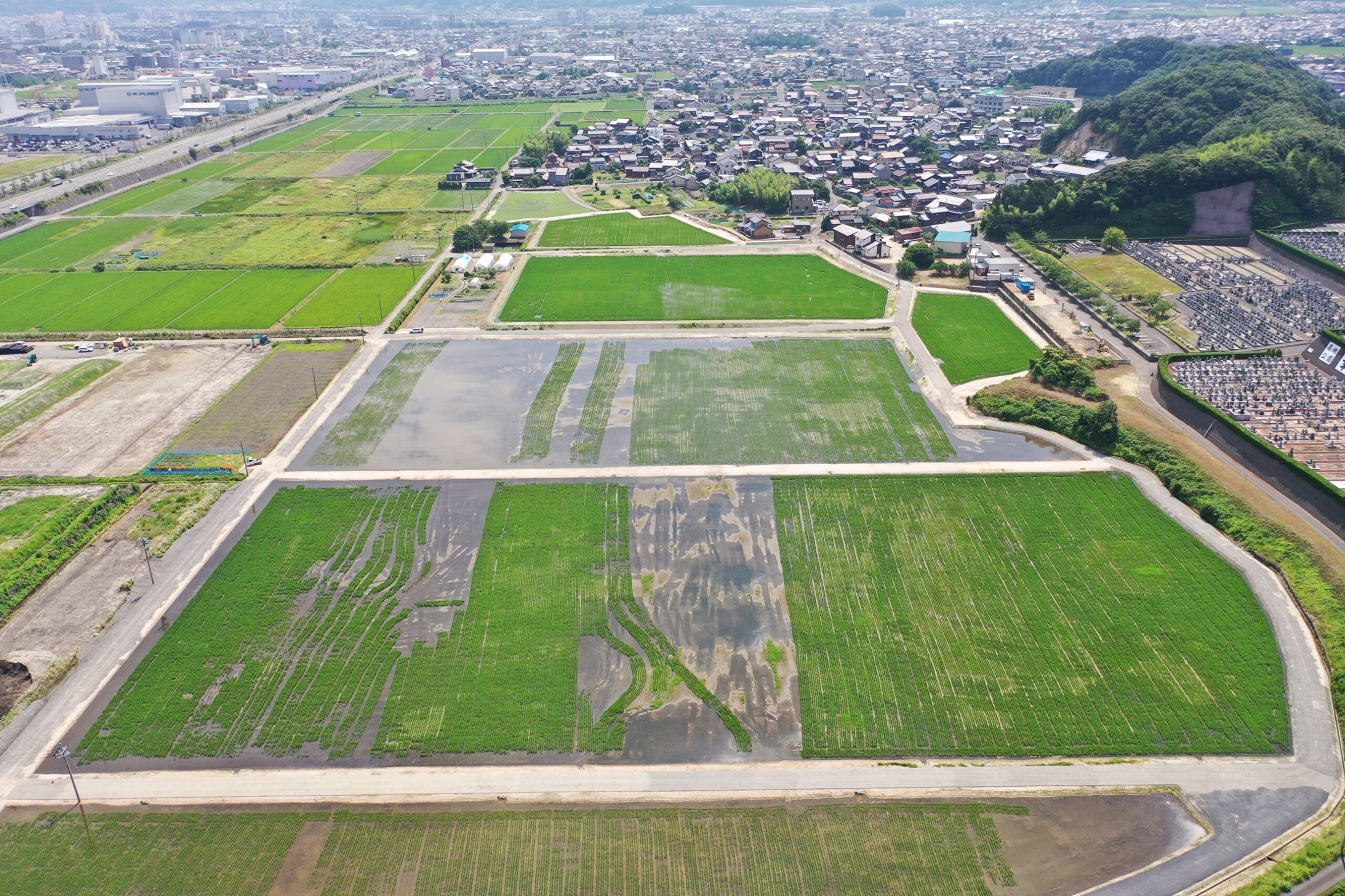 ほ場西部1期4号